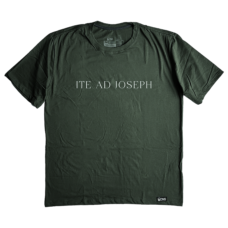 Camiseta Oversized Usedons São José - Verde ref281